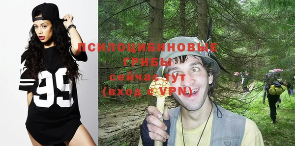 бошки Алзамай