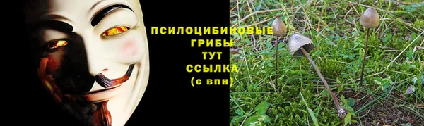 бошки Алзамай