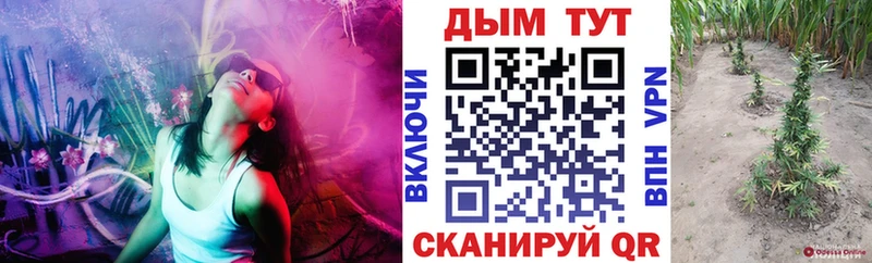 Марихуана White Widow  Купить закладки  Темников 